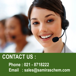 Supplier Distributor Candelilla Wax Indonesia