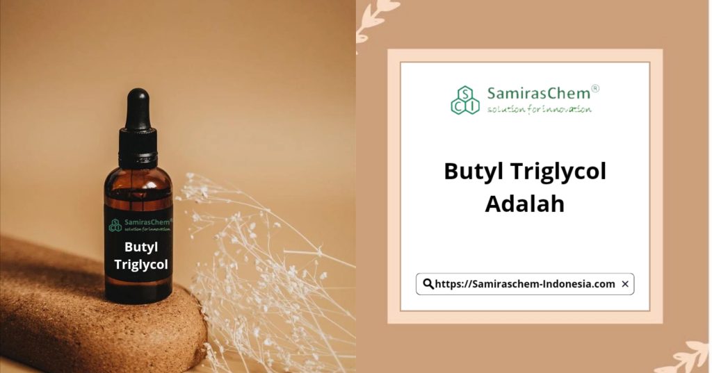 butyl triglycol adalah