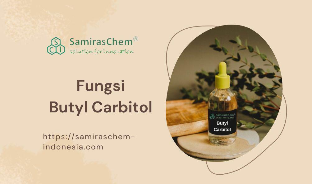 fungsi butyl carbitol