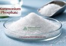 struktur atom diammonium phosphate